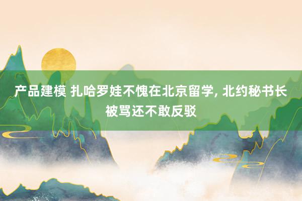 产品建模 扎哈罗娃不愧在北京留学, 北约秘书长被骂还不敢反驳