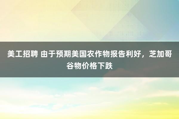 美工招聘 由于预期美国农作物报告利好，芝加哥谷物价格下跌