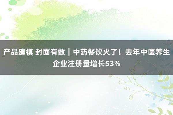 产品建模 封面有数｜中药餐饮火了！去年中医养生企业注册量增长53%