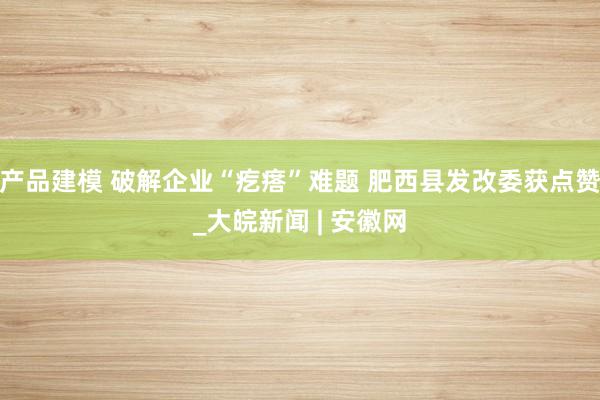 产品建模 破解企业“疙瘩”难题 肥西县发改委获点赞_大皖新闻 | 安徽网